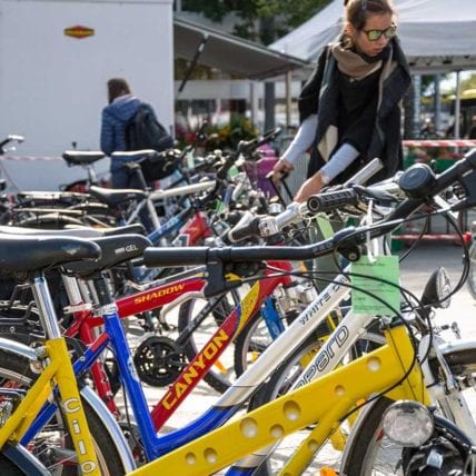 Bild Die Riesenauswahl an der Velobörse Thun von Pro Velo Region Thun